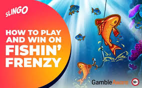 Explore the Excitement of Fishin' Frenzy Play 336929315