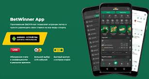 Comprehensive Guide to 1xBet Registration