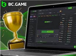 Comprehensive Guide to BC.CO Deposit Methods