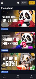 Roulette A Comprehensive Bankroll Strategy