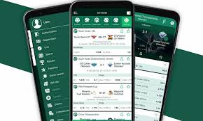 Comprehensive Review of BetWinner in Benin