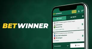 Discover the Exciting World of BetWinner Betting Platform