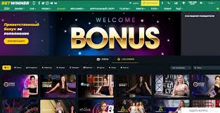 Understanding BetWinner's Privacy Policy Your Data, Our Commitment